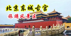 女主播扒开尿口插进擀面杖中国北京-东城古宫旅游风景区